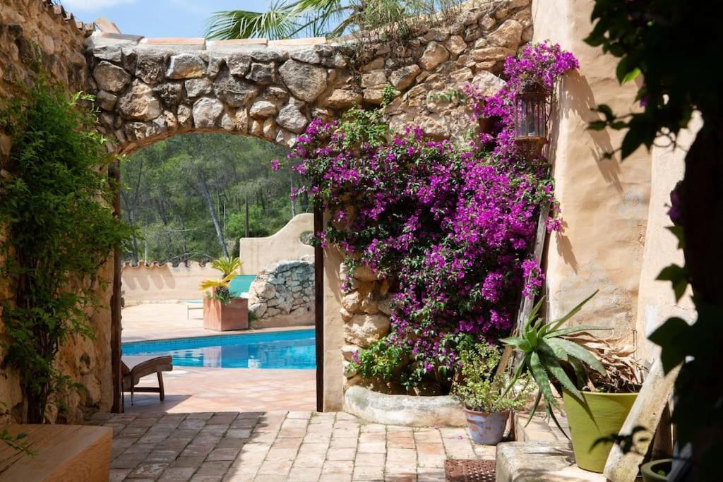 Sitges Hill Retreats-Masia Nur 22 Bedrooms Divided Over 9 Houses For Max 44 Guests 卡涅利亚斯 外观 照片